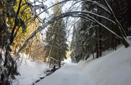 Ferienwohnung Rennsteigblick - Foto 13