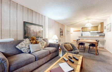 Summit Condominium #273 Condo - Foto 7