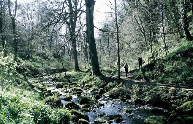 Charming Yurt in Kelburn Estate Near Largs - Photo 7