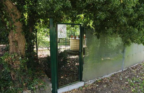 Senda Verde do Salnés - Foto 14