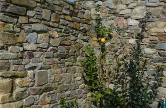 Casa con vistas únicas a la Playa de Cueva, Asturias - Foto 24