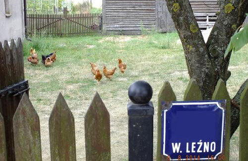 Agroturystyka Wielkie Leźno - Foto 56