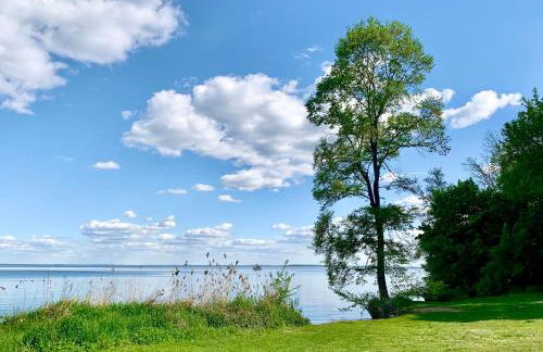 Apartment "Wiesenglück" - am Feisnecksee, mit Terrasse - Foto 29