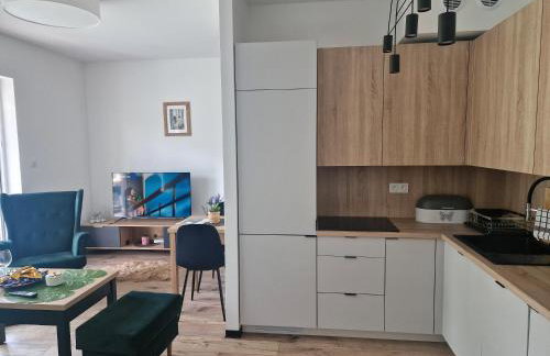 Apartament Słoneczny Taras nad Baryczą - Foto 22