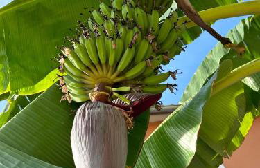 Secreta Vista - Foto 60