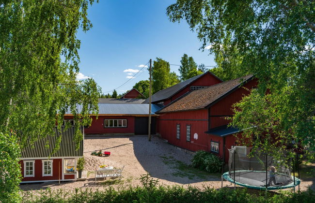 Sepelkyyhky - Foto 33