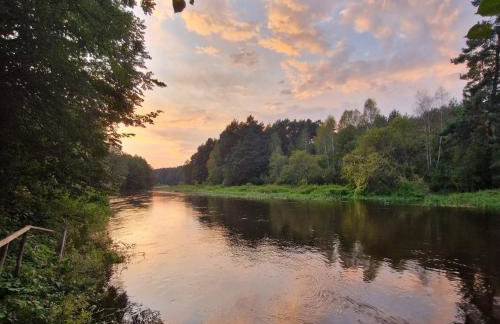 Rybaki 26 - Dom nad brzegiem Warty - Foto 8