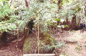 Chalé na montanha com vista e lareira Mantiqueira - Foto 43