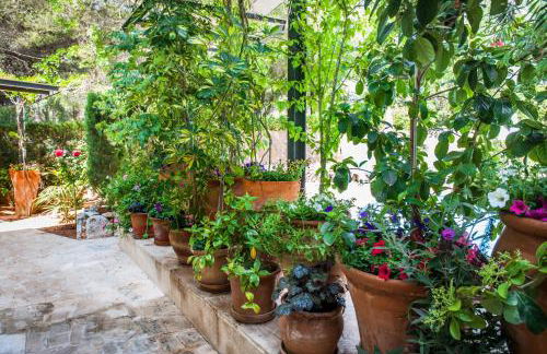 Apartamentos Cala Murada Minigolf - Foto 32