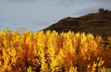 Casas Rurales Cortijo Bellavista - Foto 38