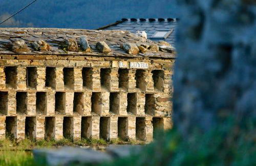 The Cliffs - Picon Seaside Cottage - Foto 38