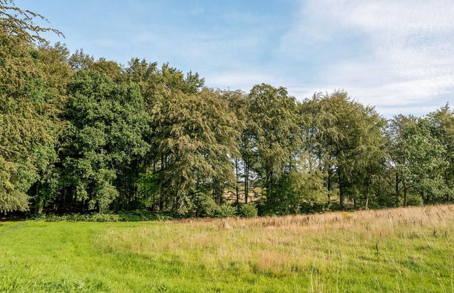 "Gjurgja" - 100m from the sea - Foto 2