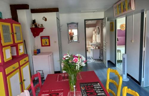 hô choucas - Foto 11