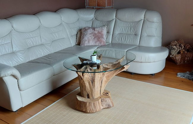 Vineyard cottage Stopar - Foto 6