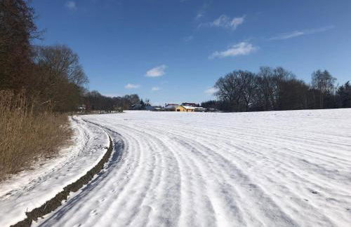 Ferienwohnungen am Fuße des Schlosses - Photo 12