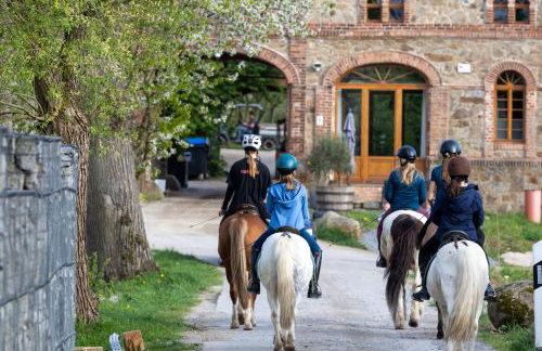 HexenburgbeiDresden 2 Zimmer Architektenwohnung mit eigener Sauna, Whirlwanne und Kamin - Nähe Sächsische Schweiz - Foto 12