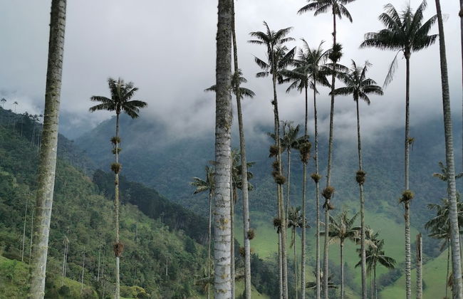 Casa Tien - Photo 75