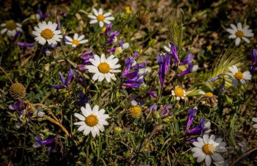 Alda House - Foto 79