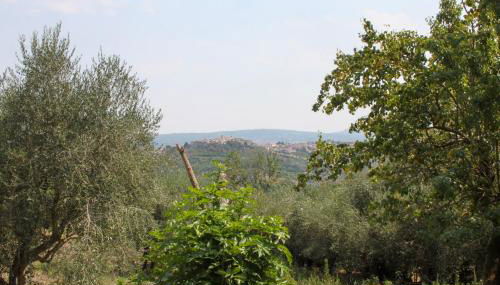 La Masseria - Foto 4