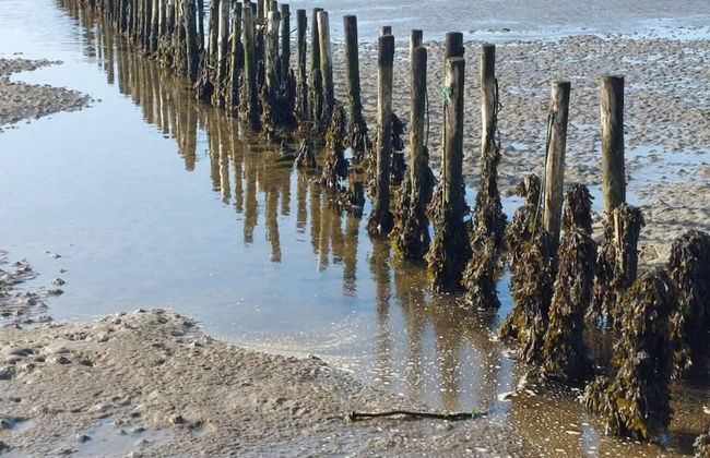 6 Person Holiday Home in Ribe-by Traum - Foto 39