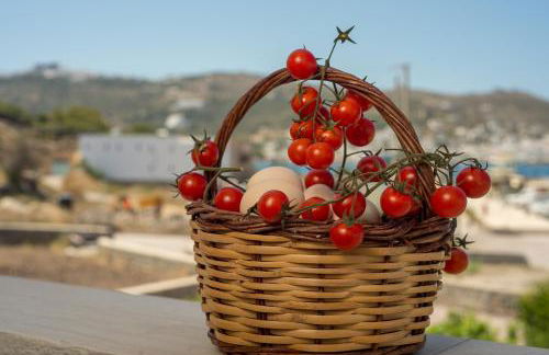 Stefanos Studios - Foto 14