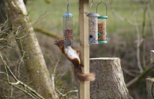 Riverside Cottage - Photo 24