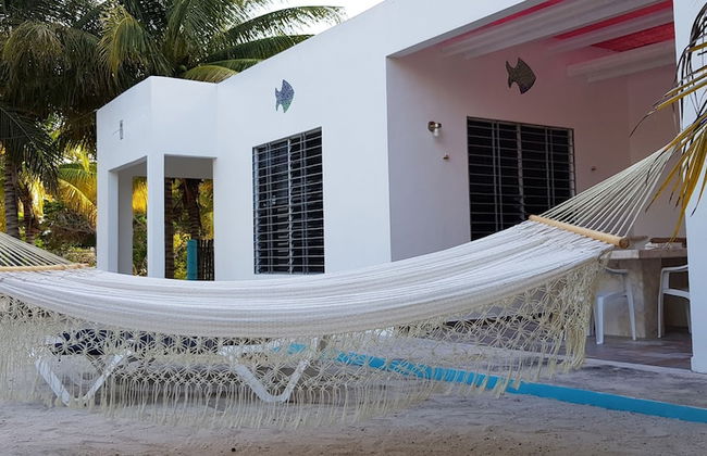 Casa de los peces - Foto 16