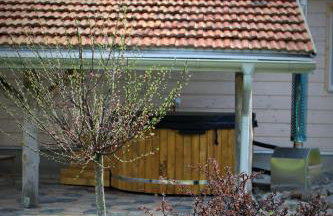 PIZUNY Dom pod dębem z balią na wyłączność - Foto 54