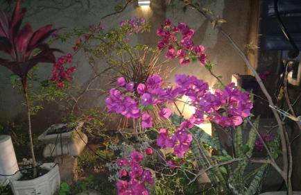 Casa em poucos passos da praia de Jaconé - Foto 22