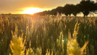 I Gelsi di San Bernardino Apartment - Foto 2