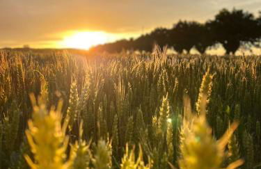 I Gelsi di San Bernardino Apartment - Foto 2