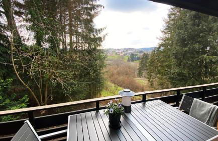 Wald-Chalet Vulkaneifel - Foto 34