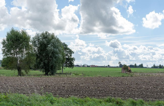 Peaceful Villa With Pond - Photo 36