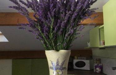 Appartement les Ecureuils - Foto 32