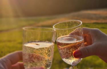 Kleine Milchbar Barrierefrei in den Bergen auf dem Hof Grindelborn - Foto 58