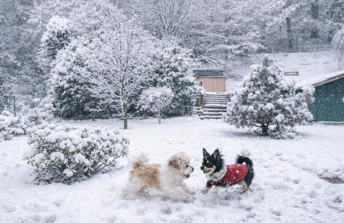 Moderne Ferienwohnung,Sauna im Haus, Parkplatz Hunde willkommen, nahe Schloss, Waldeisenbahn, Hermansbad, UNESCO Geopark, nahe polnischer Markt, Top Lage für Ausflugsziele zum Wandern oder Radfahren - Foto 13