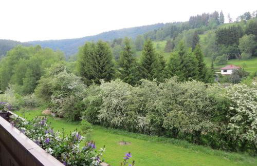 Ferienwohnungen Breternitz - Photo 5