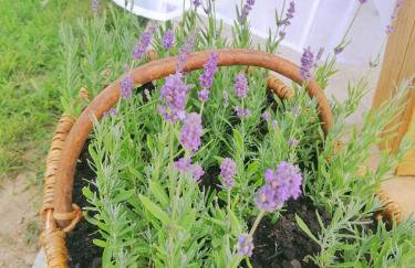 PUSZCZYKOWO siedlisko&spa - Foto 69