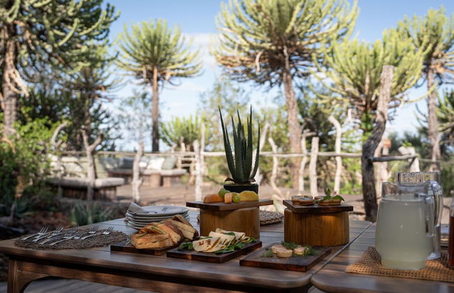 Euphorbia Mashatu - Foto 30