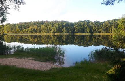 Domek nad jeziorem - Foto 38