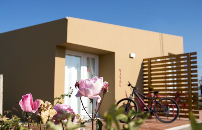 Entre Vinhas & Mar - Foto 64