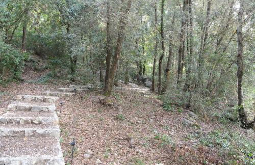 The Wonder 400m from the Sea - Photo 3