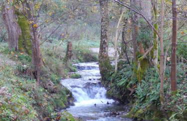 FREE Apartment - Bei den Thermen - Foto 79