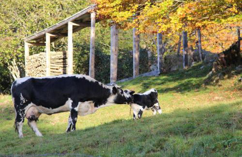 viaux-fontaine - Foto 24