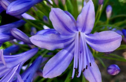 LE RENDEZ VOUS DES VACANCES - Foto 22