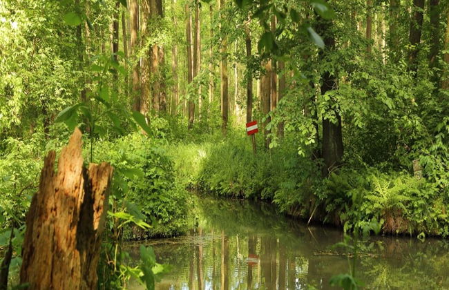 Apartments Spreewaldperle, Alt Zauche - Foto 39