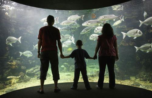 Llanddygfael Hir - Photo 6