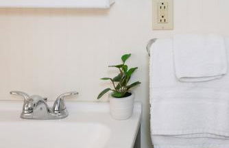 Beaver Creek Cabin 1 - Foto 13