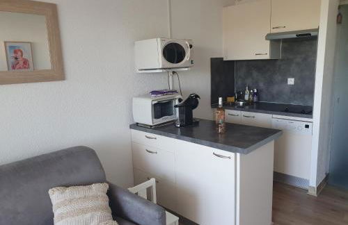 La petite Camargue - Foto 8