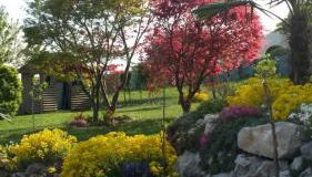 Casa Betulla - Foto 3, Garden